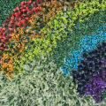 Good design DIY rainbow colourful 1*3M plastic vertical garden fence